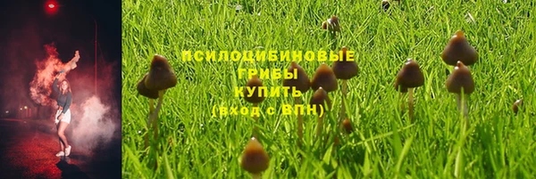 мескалин Арсеньев