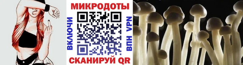 Галлюциногенные грибы прущие грибы  Усть-Илимск 